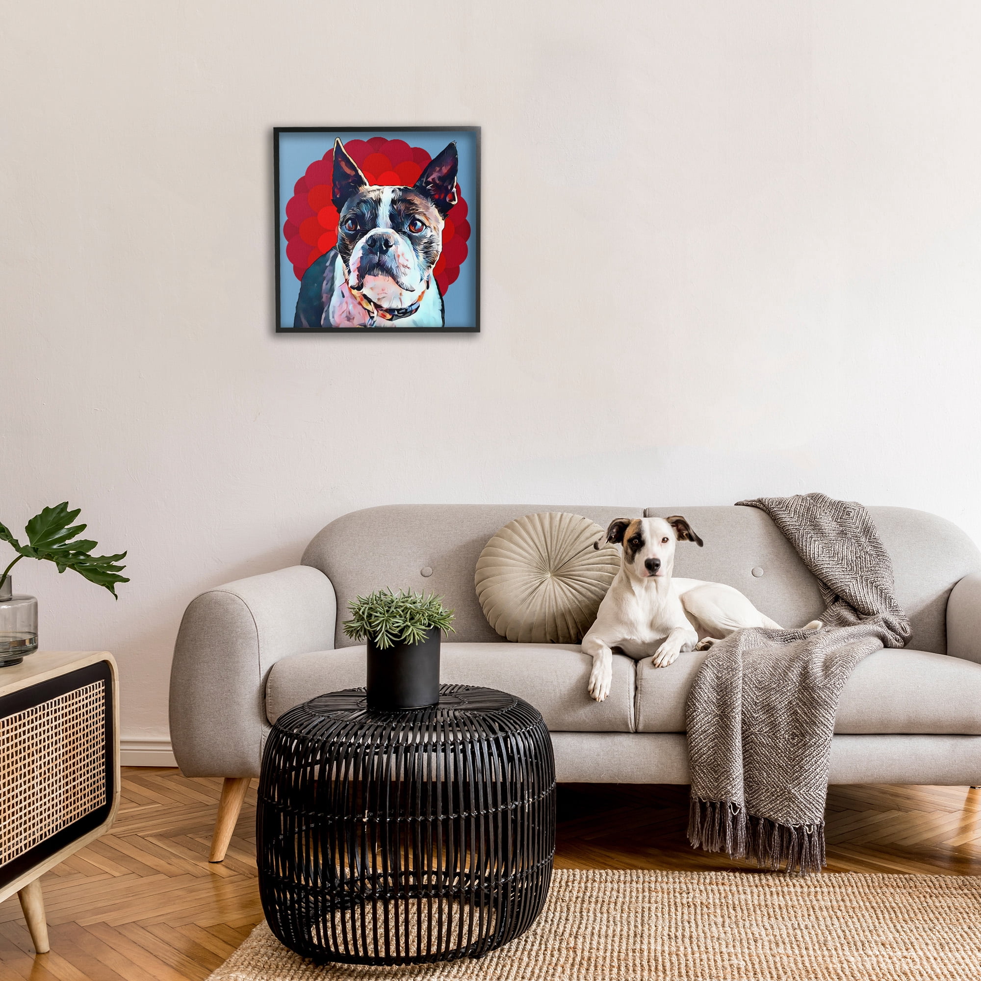 Stupell Industries Boston Terrier Dog over Geometric Animals & Insects Painting Black Framed Art Print Wall Art, 24 x 24