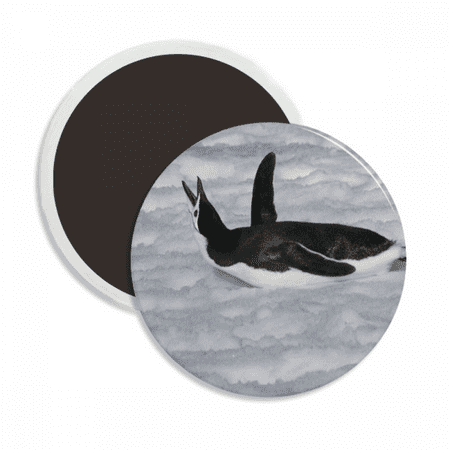 

Water Black Antarctic Penguin Picture Round Ceracs Fridge Magnet Keepsake Decoration
