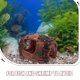 thumbnail image 3 of UPOUART De Acuario En Barril Resina Para Peces Y Camarones, 3 of 6