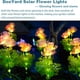 thumbnail image 3 of Luces Solares para Jardín  Luces Solares Impermeables Con Flores para Jardín (luz Cálida)  2 Uds., 3 of 9