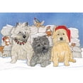 thumbnail image 1 of Holiday Boxed Cards- Cairn Terrier, 1 of 1