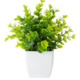 thumbnail image 1 of Mini plantas artificiales de Aloe, bonsái, pequeño árbol simulado, maceta de flores falsas, adornos en maceta para mesa de oficina, decoración del jardín del hogar, 1 of 4