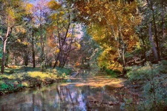 Autumn In The After