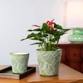 thumbnail image 3 of Hometrends Céramique Pot à feuille de 20.3 cm-Vert, 3 of 7
