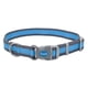thumbnail image 1 of Collar para perro Coastal Pet Pro, ajustable y reflectante, azul brillante con gris, 1 x 14 a 20 pulgadas, 1 of 7