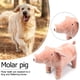 thumbnail image 3 of COG PUPPY DECOMPRESIÓN DE DECOMPRESIÓN Muñecas de perro Muñecas de juguete Niños Regalos Suministro de relieve de estrés Hugtrwg Para estrenar, 3 of 8