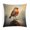 Pattern-3, variant on Pillowcases Illustration Of A Robin Bird Outdoor Square Pillow Cushion Cases 16"x16" Modern Decorative Pillow Covers for Couch Sofa Bedroom Car Watercolor Birds Animal Throw Pillows for Bed