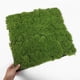 thumbnail image 5 of Greenadscape Estera De Césped Falso Para Con Textura Apta Para Uso En Exteriores E Interiores, 5 of 6