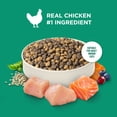thumbnail image 5 of Rachael Ray Nutrish Indoor Complete Dry Cat Food, Chicken, Lentils & Salmon Recipe, 3 lb Bag, 5 of 12