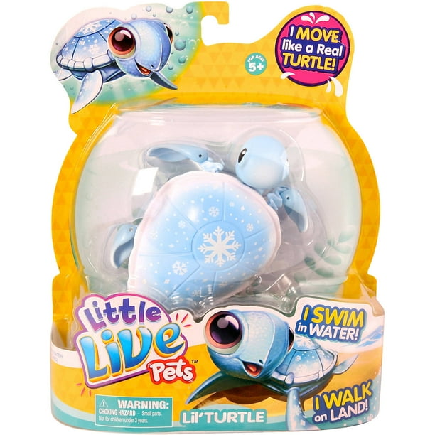 tiny turtle toys