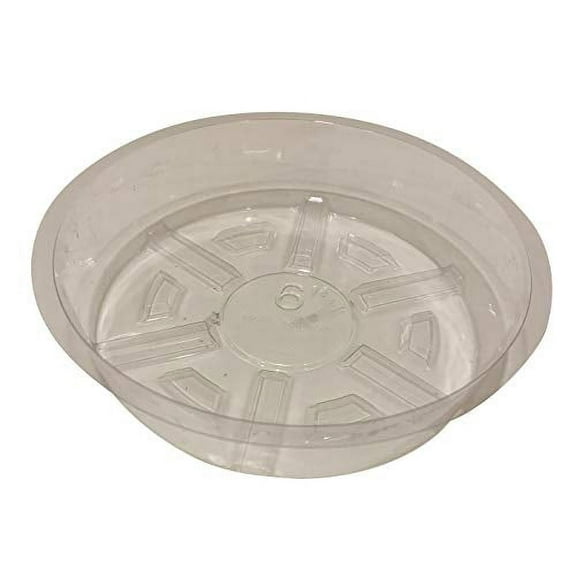 6 Inch Clear Plastic Plant Saucers Drip Trays (Pack of 10)