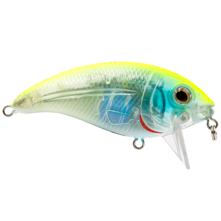 bullnose fishing lure Bull Nose 2 4Action Livingston Lures Bull Nose Salt