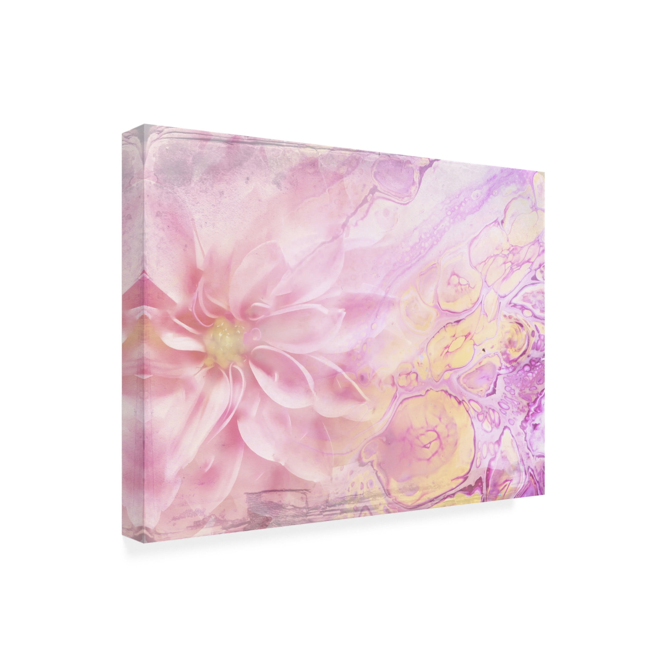 Trademark Fine Art Rafal Kulik Ombre flower Canvas Wall Art