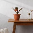 thumbnail image 2 of Bloem Ariana 6" Self-Watering Plastic Planter - Rolled Rim Indoor/Outdoor Garden Pot, Terra Cotta, 2 of 8
