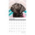 thumbnail image 3 of Just Labs 2023 Wall Calendar (Other), 3 of 4