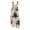 Black, variant on Womens Halloween Overalls Pumpkin Spiderweb Sleeveless Backless Horror Overalls Bat Skeleton Halter Funny Jumpsuits, 4XL