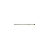 12D 3.75 in. 1 lbs Common Hot-Dipped Galvanized Steel Nail Flat - Pack of 12