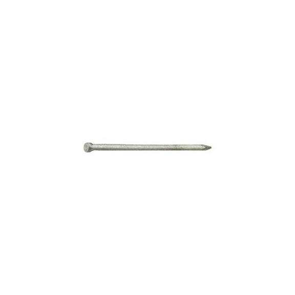 12D 3.75 in. 1 lbs Common Hot-Dipped Galvanized Steel Nail Flat - Pack of 12