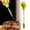Green, variant on Turkey Baster Syringe Large,Long Meat Basters for Cooking & Basting,Plastic Turkey Baster with Marinade Injector Needle,Silicone Bulb & Basting Brush and Cleaning Brush,3/4 oz(Red)