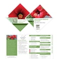 thumbnail image 5 of Proven Winners ColorChoice Hot Shot Hibiscus Live Shrub (2 Gallon), 5 of 9