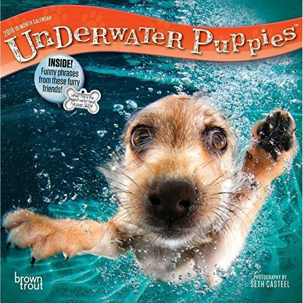 Underwater Puppies 2018 Calendar
