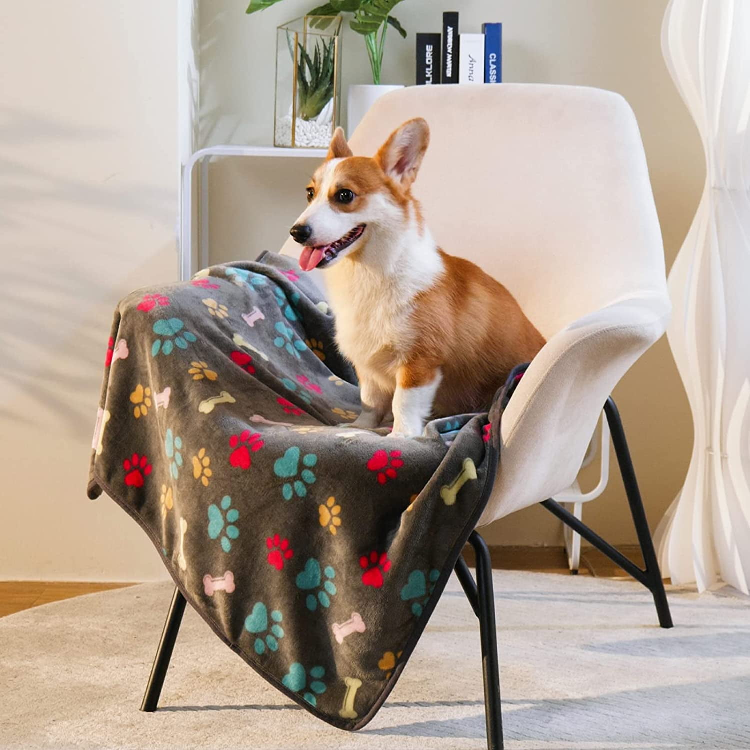 Fleece blanket sale with dog print