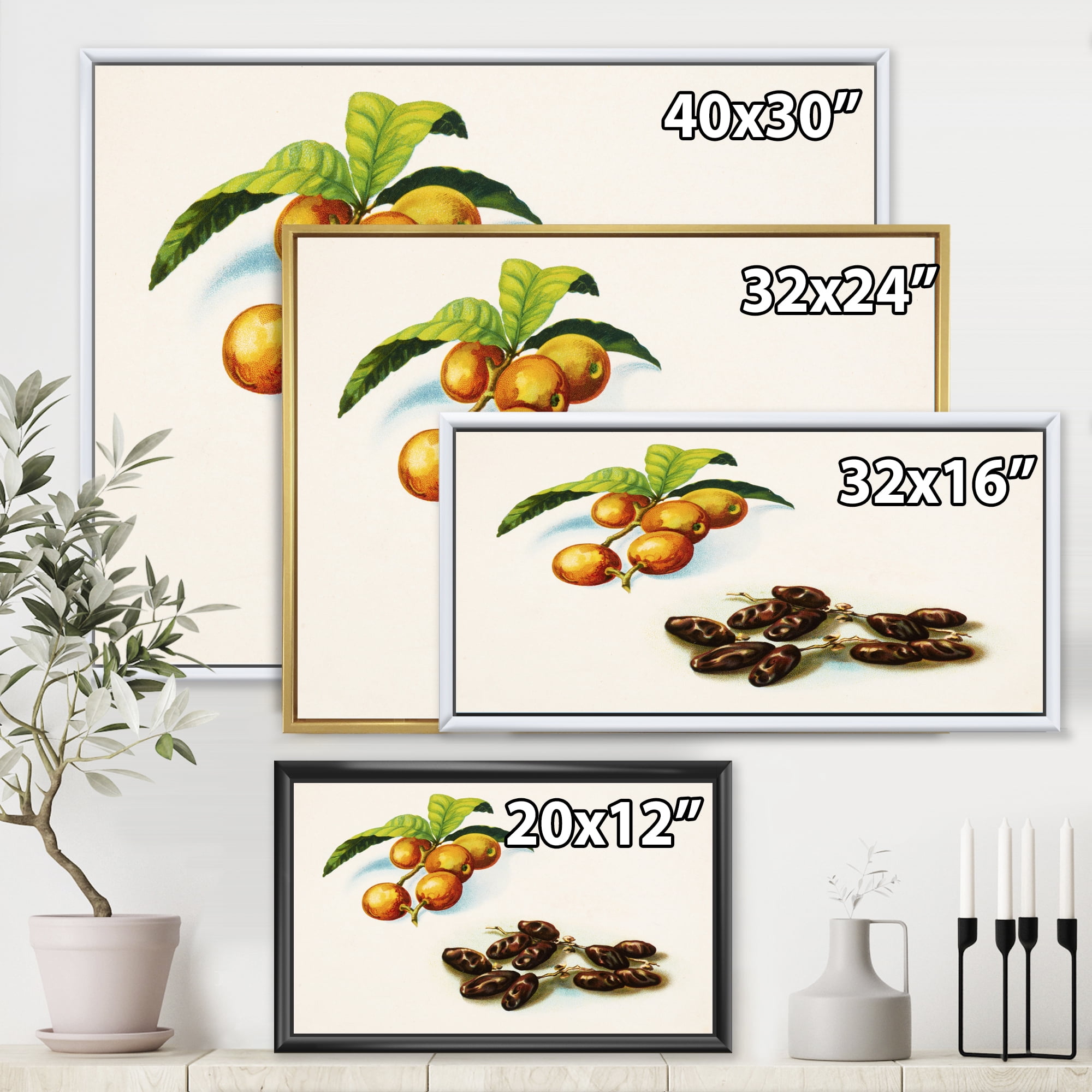 Designart 'Ancient Fruits IV' Farmhouse Framed Canvas Wall Art Print