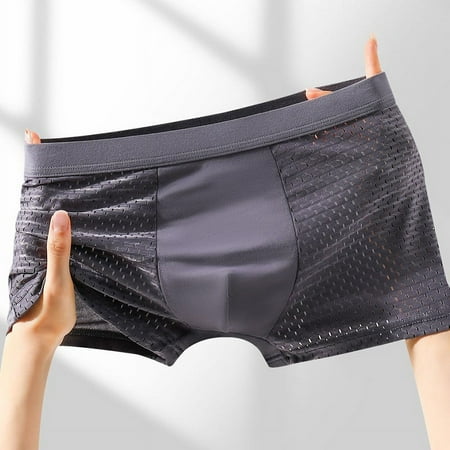 sentaili Comfy New Stylish Panties Ice Silk L-4Xl Men Mesh Microelasticity Safe