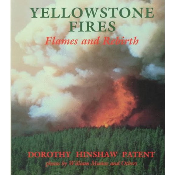 Pre-Owned Yellowstone Fires: Flames and Rebirth (Hardcover) 0823408078 9780823408078