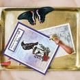 thumbnail image 5 of 1Sheet Crow Skeleton Silicone Clear Stamp Seals for Cards Making Photo Album Journal Home Decoration, 5 of 9