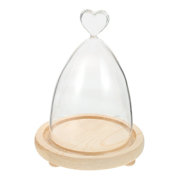 Cúpula de vidrio transparente con base de madera, cúpula de vidrio decorativa con diseño floral, regalo de San Valentín