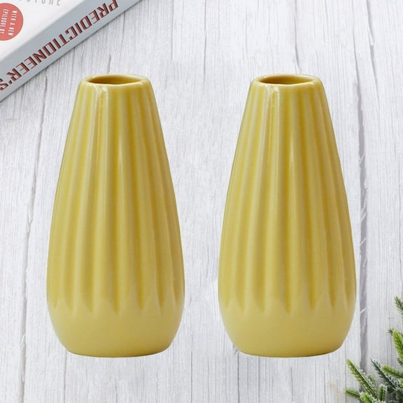 HOMEMAXS  2 Pcs Modern Vase Decorative European Style Flowerpot