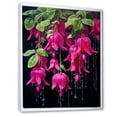 thumbnail image 2 of Designart "Black And Pink Blooms Of Fuchsia Flowers" Fuschia Floater Framed Canvas Prints, 2 of 5