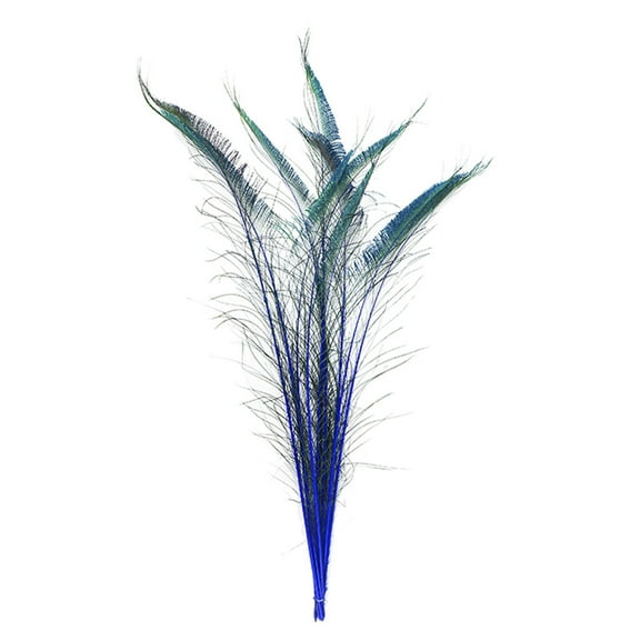 Zucker Feather Products Peacock Swords Stem Dyed Feathers - 25-40" - 10pcs - Royal