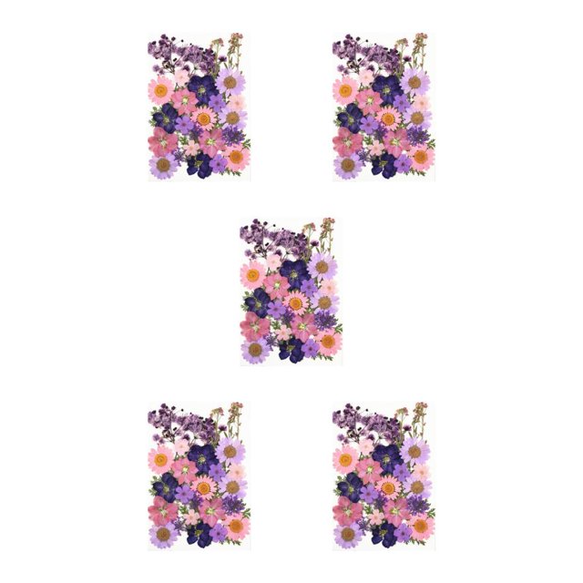 Destyer Set Scrapbooking Decorating Real Flower Decal Handicraft Filling Pressed Specimen Label for Makeup Phone Use Type 1 Type35 NO35