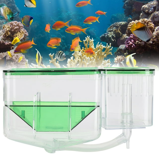 YLSHRF Plastic Fish Isolation Box Fish Incubator, Isolation Incubator Breeding Box, Household For Shrimp Aquarium Shop For Sea Clownfish For Injured Small Fish