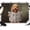 Cream, Brown, White, Tan, variant on 7x5ft Photo Backdrop, Cute Dogs Soft Polyester Backdrop Curtains Photography Backdrops, Funny Puppy Reading Newspaper Toilet Brushed Background for Photoshoots Studio Video Portrait Parties