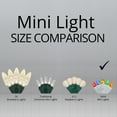 thumbnail image 4 of 5mm LED Wide Angle Multicolor Prelamped Light Set, White Wire - 70 5mm Multi Color LED Christmas Lights, 4" Spacing, White Wire, 4 of 7