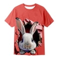 thumbnail image 3 of WOYY Boys Easter Rabbit T Shirt Cute Short Sleeve Graphic Tee Kids Soft T-Shirt, Sizes 1-13, 3 of 3