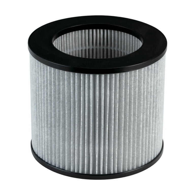 BISSELL Myair High Efficiency Replacement Filter 2801 Walmart