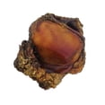 thumbnail image 6 of Chews for Dogs All Natural Beef Smoked Knee Caps with Meaty Bits Bulk Packs (50 Knee Caps), 6 of 7