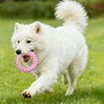 thumbnail image 4 of BotaniNest TPR Chew For And Puppies Molar For Teeth Cleaning And Boredom Easy To Clean Interactive For Training And Play, 4 of 4