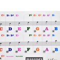 thumbnail image 4 of Pegatina de Piano Transparente Colorida Extraible, Pegatina de Llaves de Material Más Delgada, Para Principiando 61 Key, 4 of 7