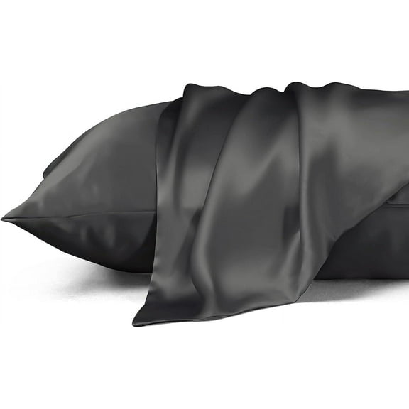 Standard Size Mulberry Silk Pillowcase,Cooling Pillow Cases with Hidden Zipper,Smooth Breathable Pillowslip Hleps Skin(20"x26",Black)