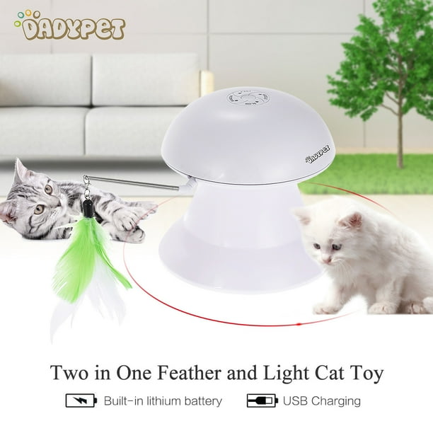 dadypet cat laser toy