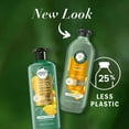thumbnail image 3 of 2X - Herbal Essences Pure Plants Sulfate Free Honey Daily Moisture Conditioner 13.5 fl oz, 3 of 7