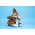 thumbnail image 4 of Hartz Chew n Clean Twisty Bone Dog Toy, Small, 1ct, 4 of 8