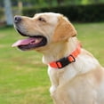 thumbnail image 5 of Waterproof Dog Collar, Easy to Clean Rubber Dog Collars with Quick Release Buckle Fits Small Medium or Large Dogs (Orange, M, 5 of 6