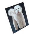 thumbnail image 1 of Goldendoodle Couverture en Sherpa Peluche Imprimée Portrait de Chien, 1 of 3