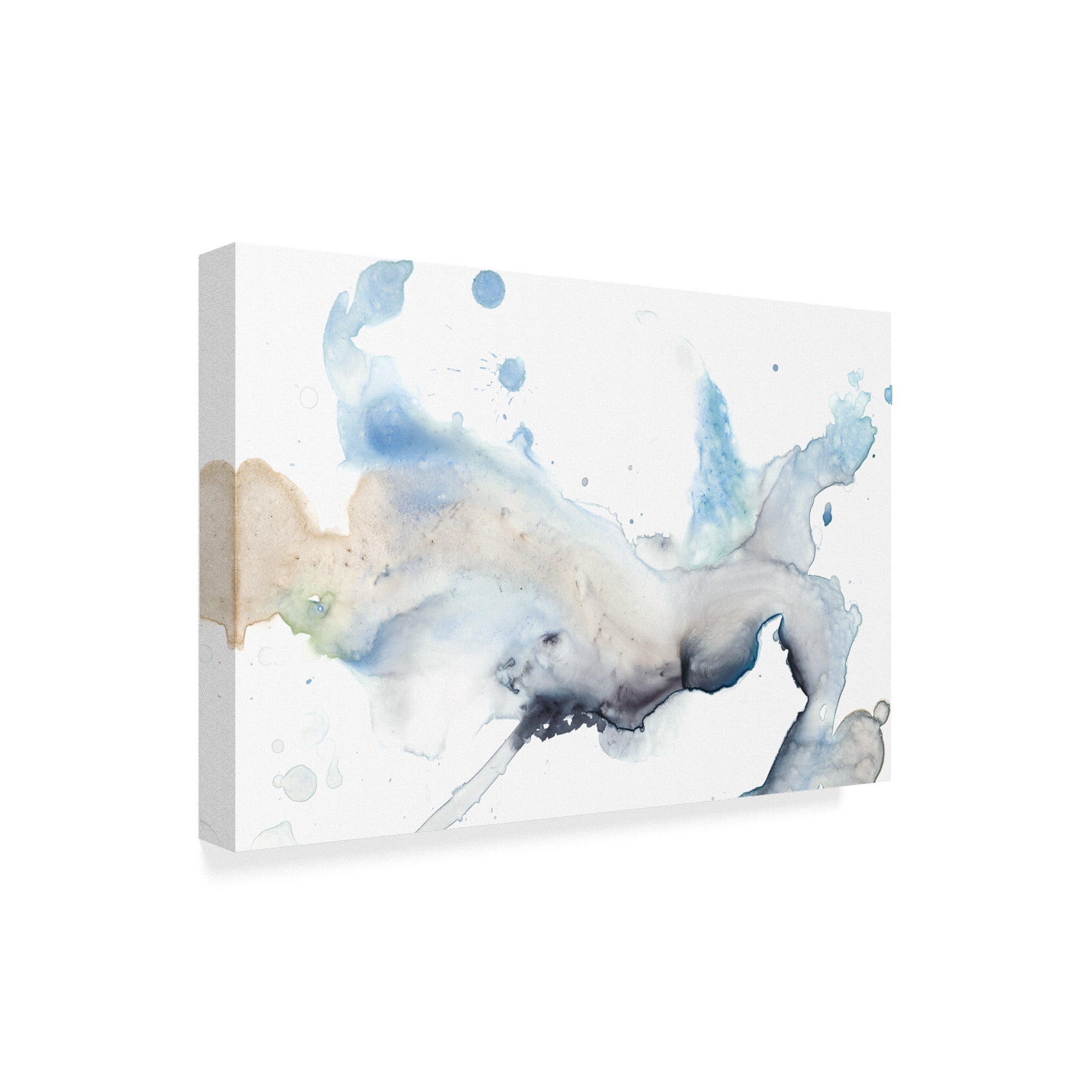 Bloom Cloud I' Canvas Art by Jennifer Goldberger